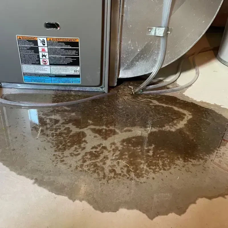 Appliance Leak Cleanup in Geronimo, TX